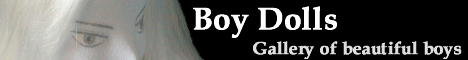 Boy Dolls Standard banner