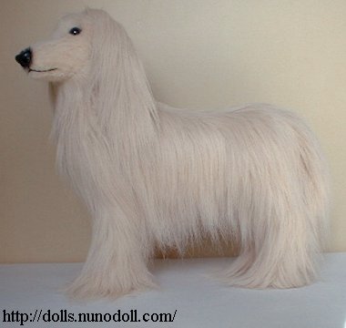 Afghan Hound