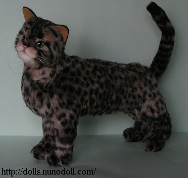 gray bengal cat