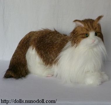 Long haired cat