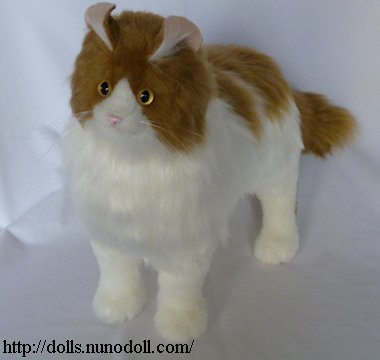 American curl, stuffed cat