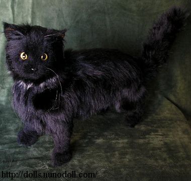 Standing black cat