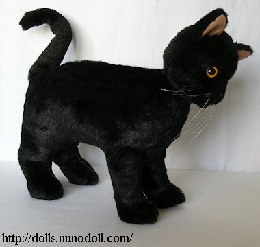 Black cat Bombay