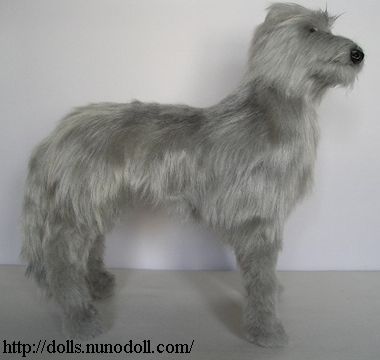 Scottish deerhound grey hair
