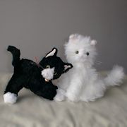 Black white kitties
