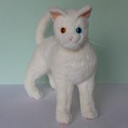 White cat with odd eyes